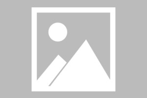 必赢下载-欧冠不踢，踢英冠？2个亿清仓甩卖，英超最佳老板不玩了？